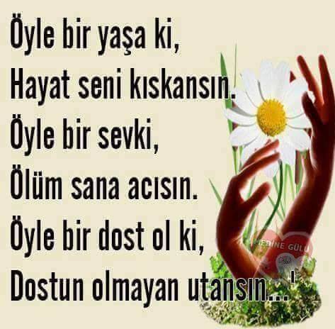 Aşkın