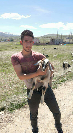 Alkan