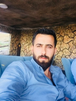Şahin