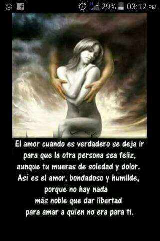 Yans