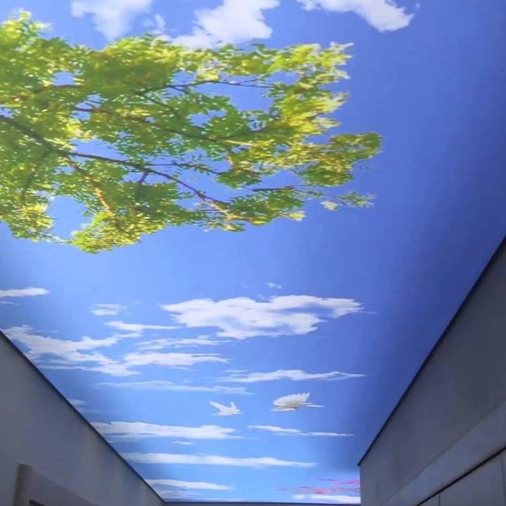 Ozgu