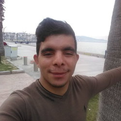 Mücahit