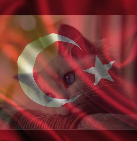 Ilker