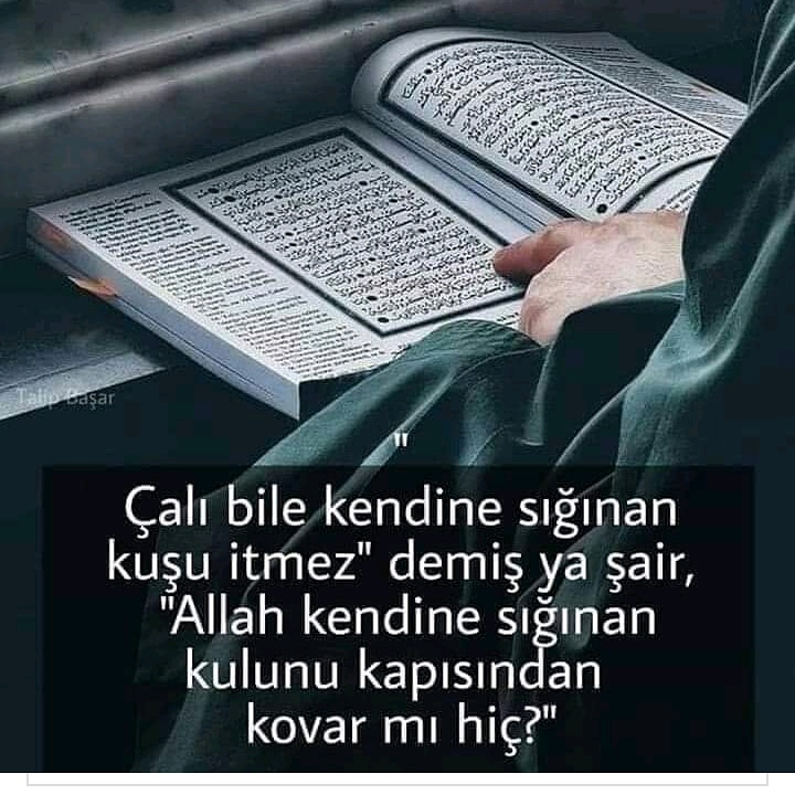 Ayşe