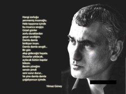 Veysel
