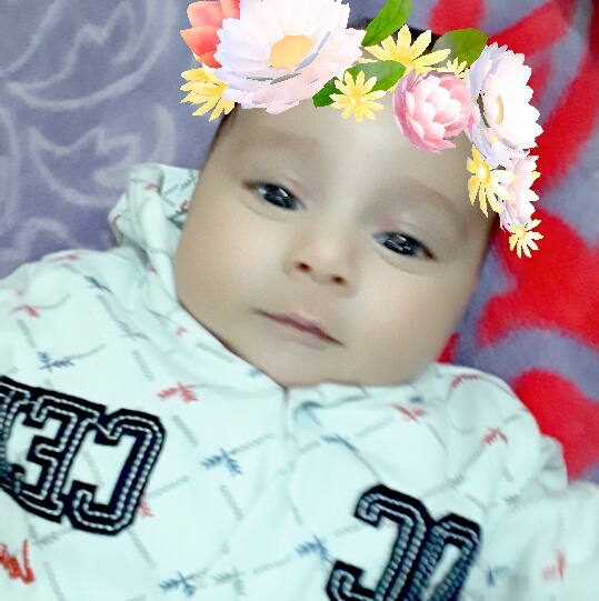 Songül