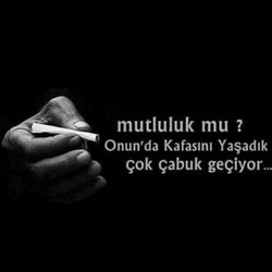 Fehmi