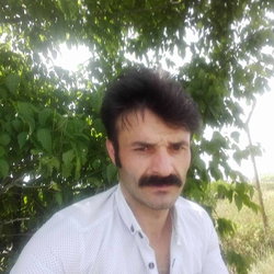 Zeki