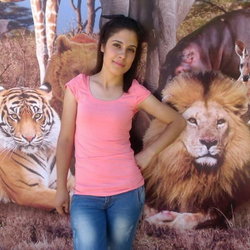 Aylin