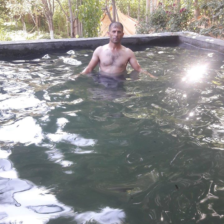 Davut