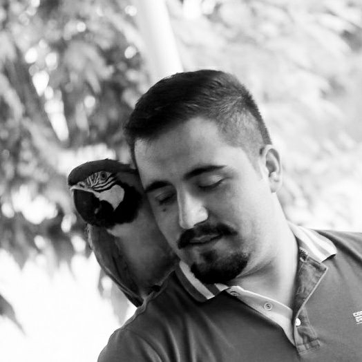 Tolga