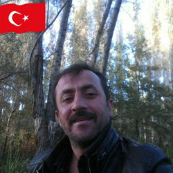 Bozkurt