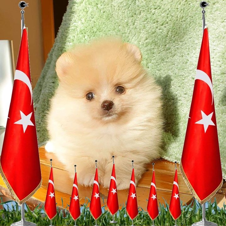 Ölmez