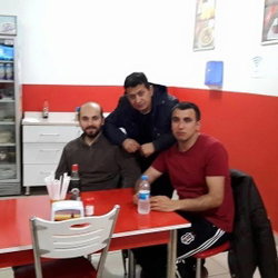 Doğan