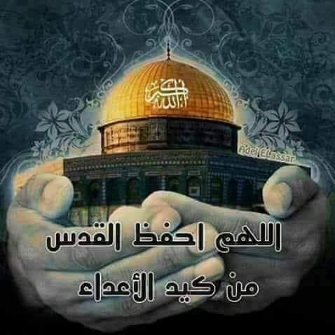عادل