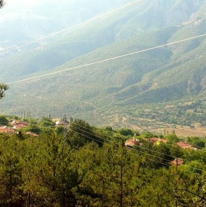 Kasım