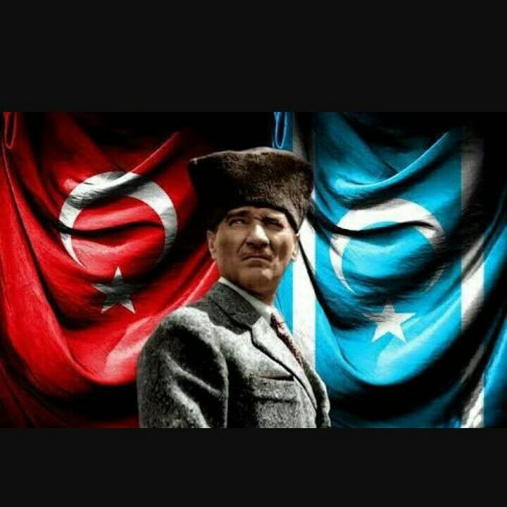 Selim