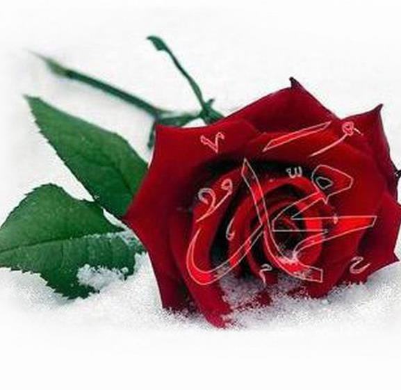 Seher