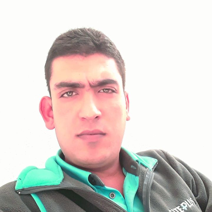 Doğan