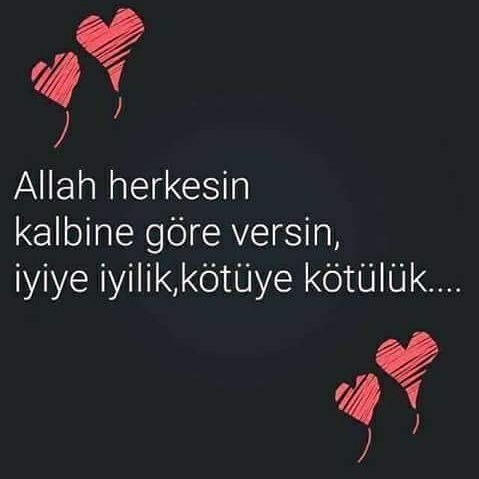 Hayat
