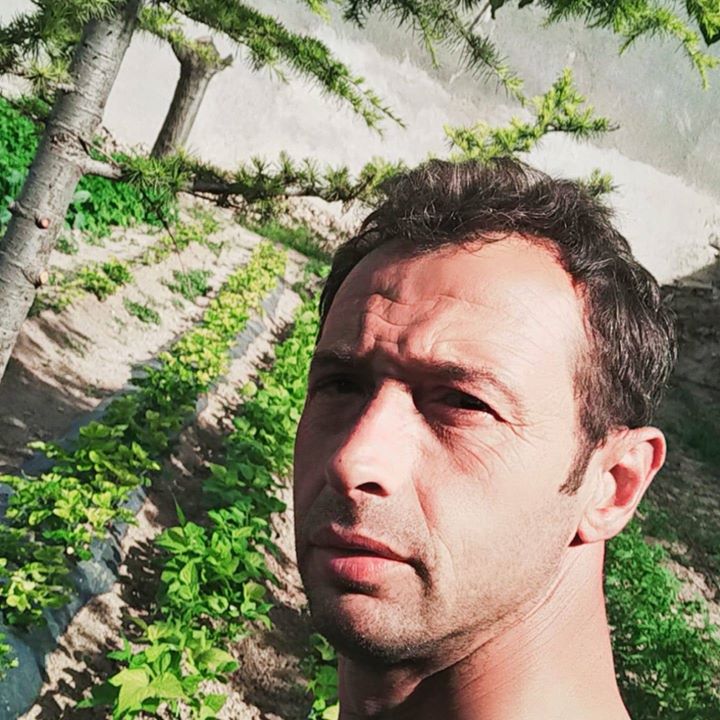 Orhan