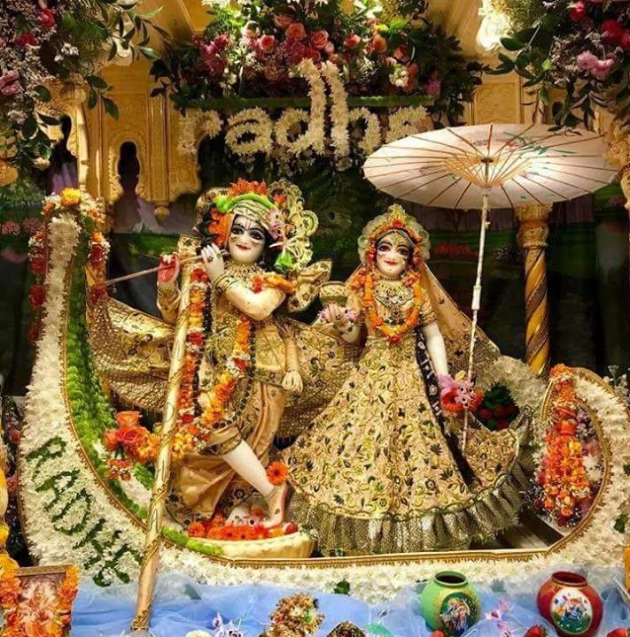 Vidhya