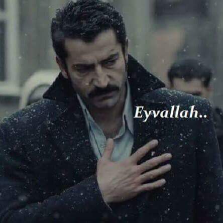 Ali