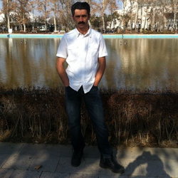 Şahin
