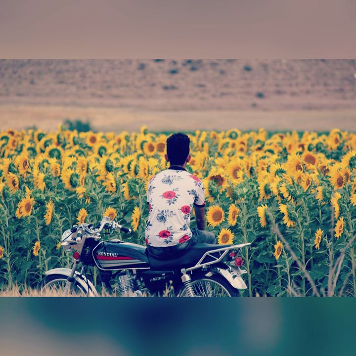 Saydan