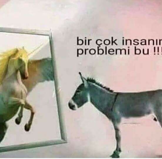 Dıldıl