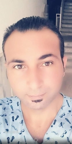 Şahin