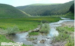 Bahattin