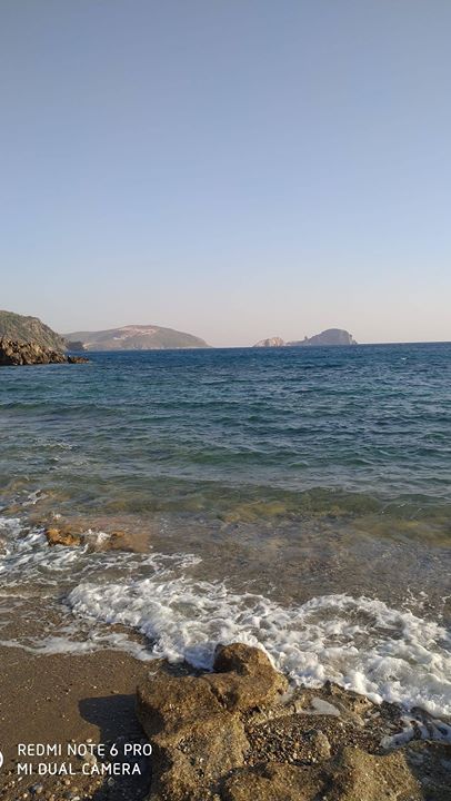 Fevzi