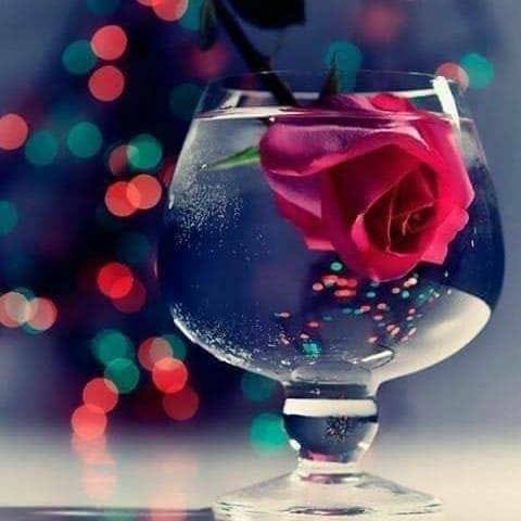 عمر