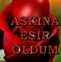 Kaan