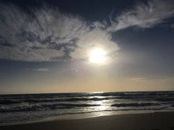 Meral