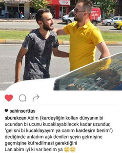 Şahin