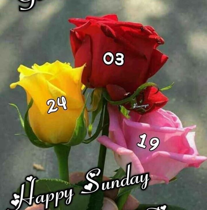 Prasant