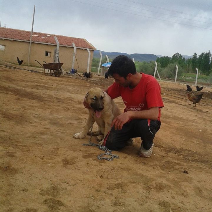 Tuncay