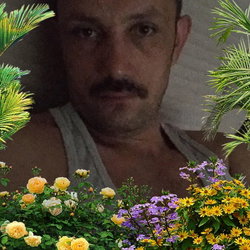 Orhan