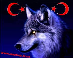 Hayat