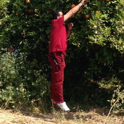 Ferhat