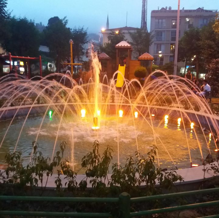 Bilgin