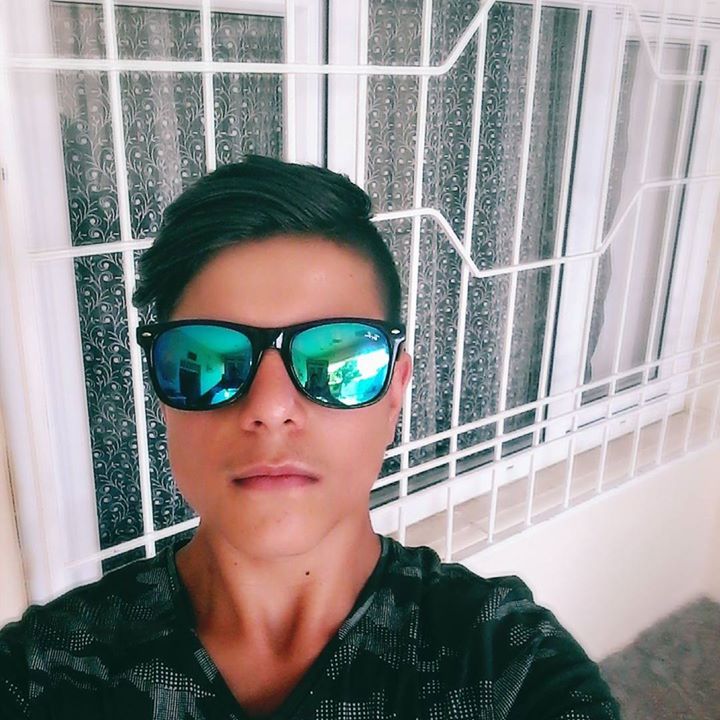 Şahin
