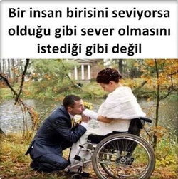 Sedat
