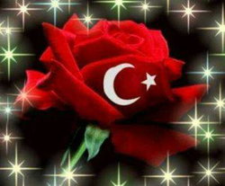 Filiz