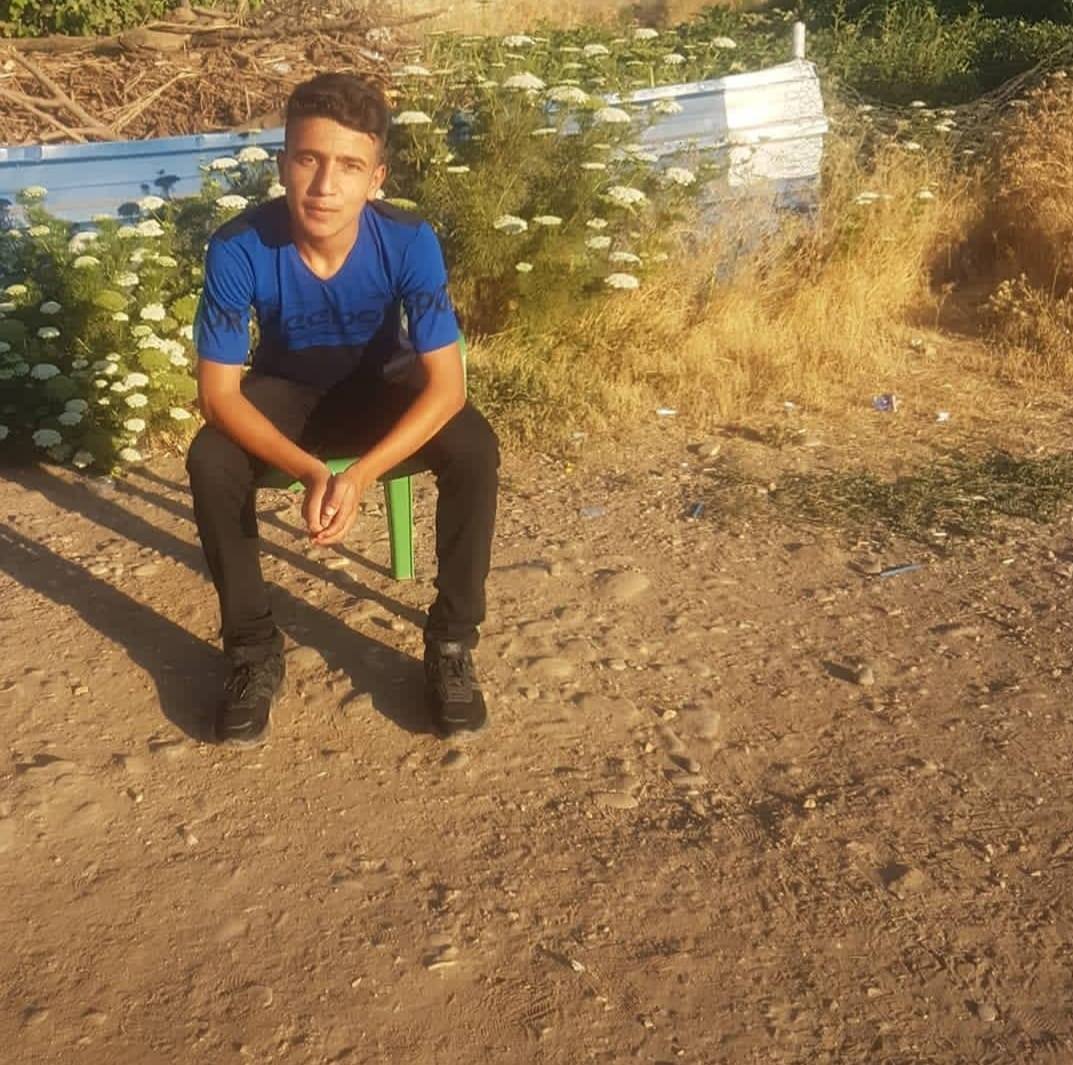 Davut