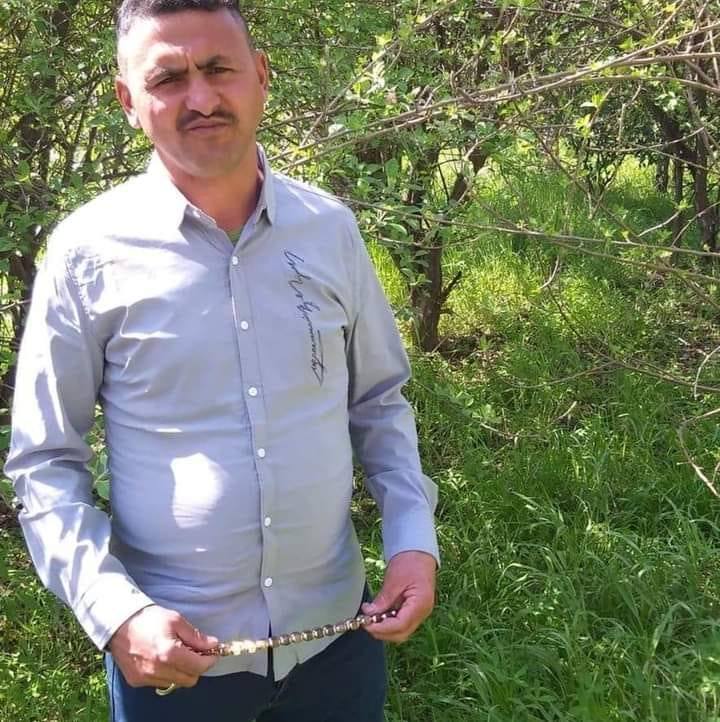 علي