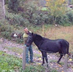 Mustafa