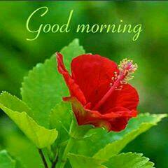 Paulraj
